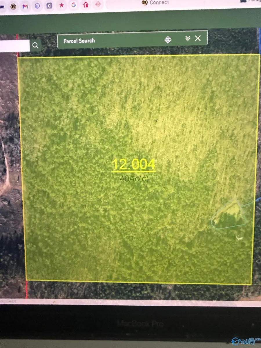 LOT 1 Pruitt Road, Piedmont, AL 36272 - #3