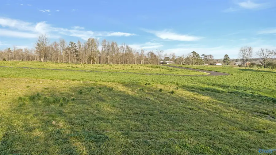 Lot 14 Garrett Street, Rainsville, AL 35986 - #3