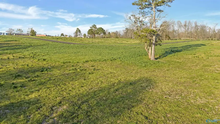 Lot 15 Garrett Street, Rainsville, AL 35986 - #3