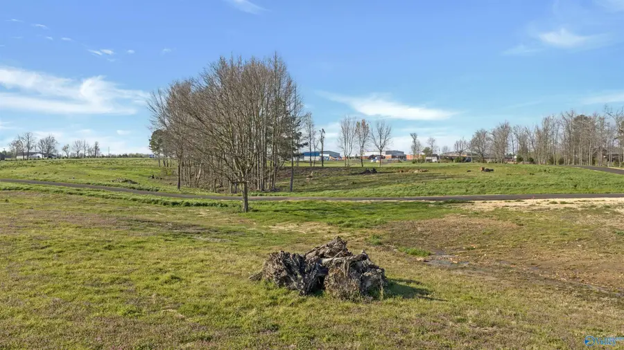 Lot 18 Garrett Street, Rainsville, AL 35986 - #3