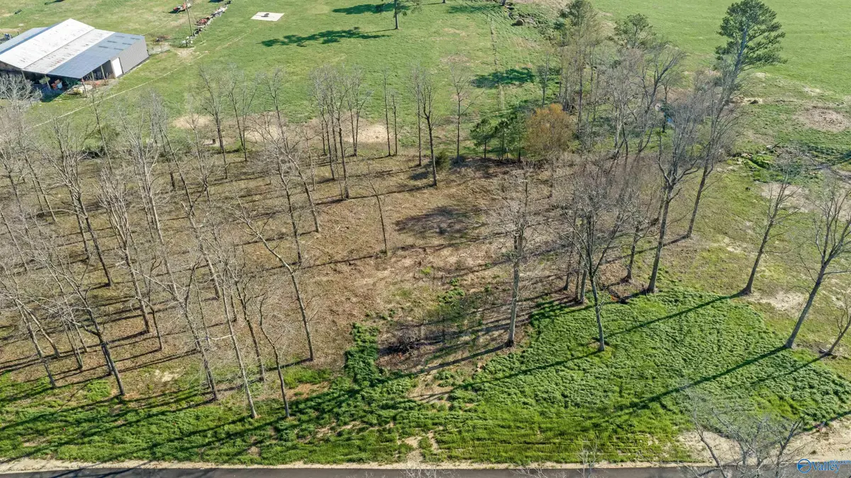 Lot 20 Garrett Street, Rainsville, AL 35986 - #1