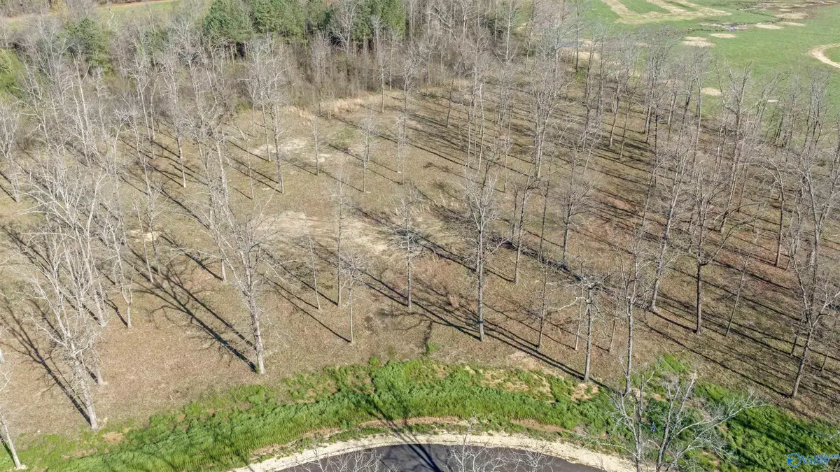 Lot 22 Garrett Street, Rainsville, AL 35986 - #1