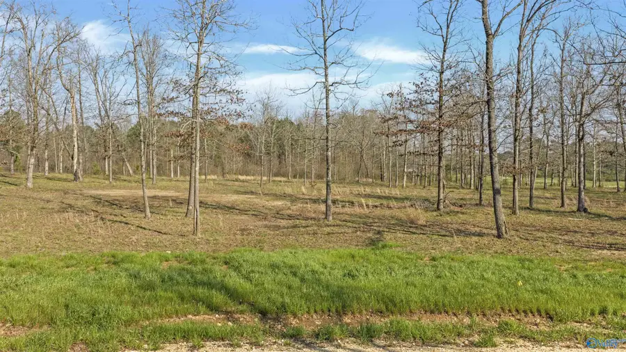 Lot 22 Garrett Street, Rainsville, AL 35986 - #2