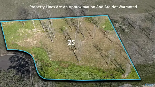 Lot 25 Garrett Street, Rainsville, AL 35986