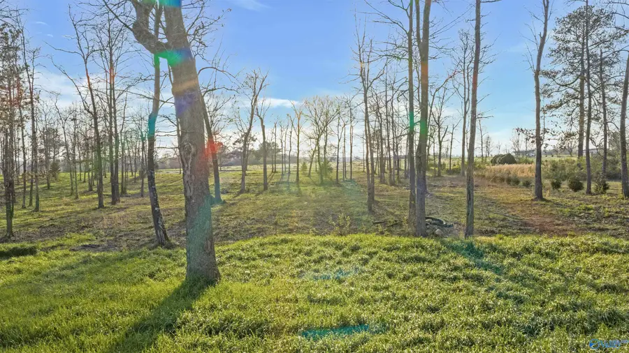 Lot 32 Garrett Street, Rainsville, AL 35986 - #3