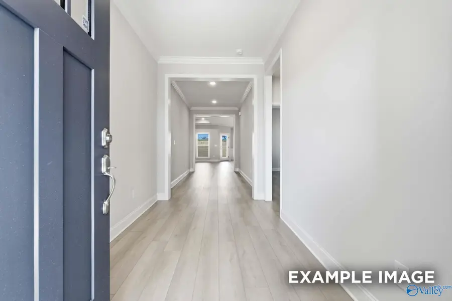 162 Hidden River Drive, Madison, AL 35756 - #2