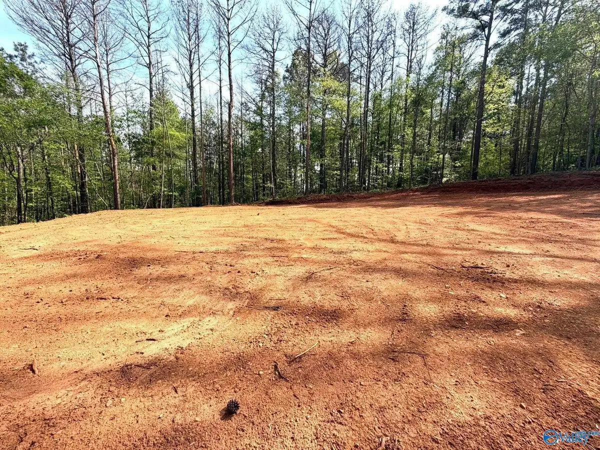 78 Acres Pine Street, Steele, AL 35987 - #1