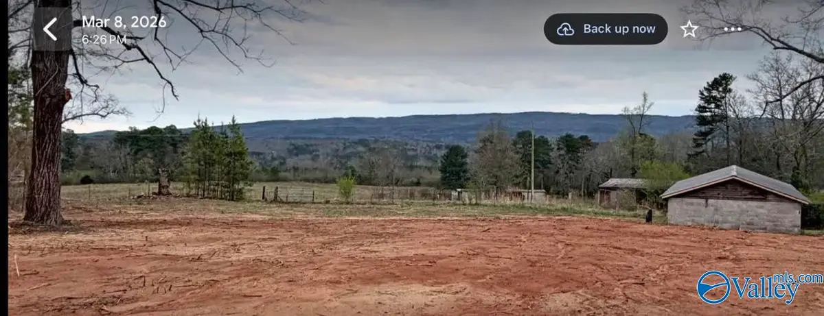 66 Acres County Road 865, Collinsville, AL 35961 - #1