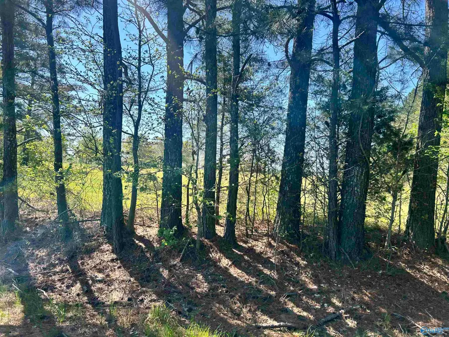 .91 Brock Road, Ardmore, AL 35739 - #3