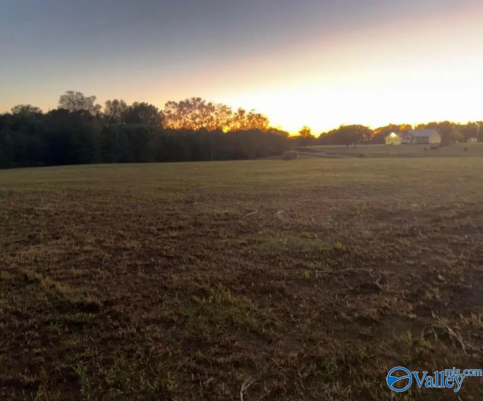 Lot 4 County Road 1755, Holly Pond, AL 35083 - #1