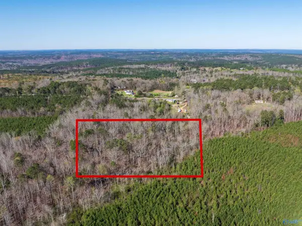 10 ac County Road 10, Montevallo, AL 35115