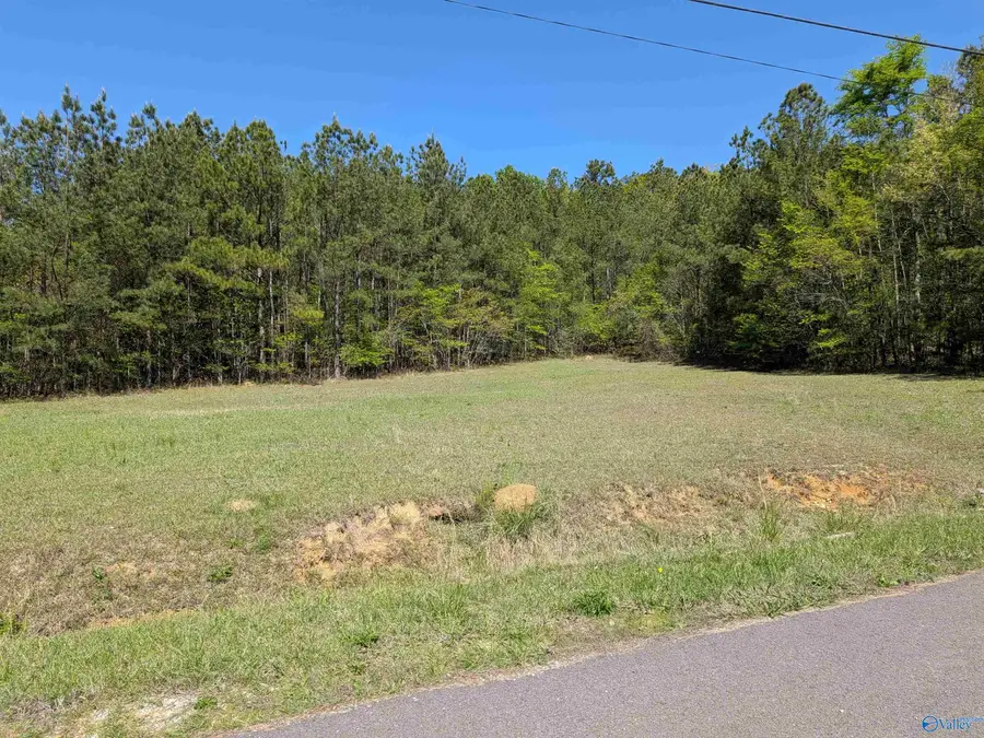 409 Oak Street, Glencoe, AL 35905 - #3