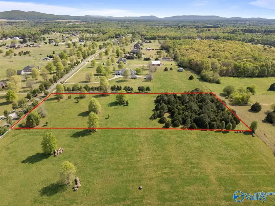 597 Beth Road, New Market, AL 35761 - #3