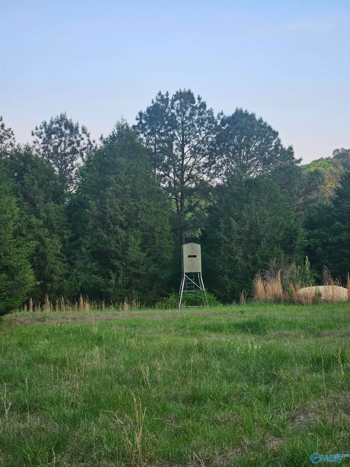 8200 Owls Hollow Road, Gadsden, AL 35901 - #1