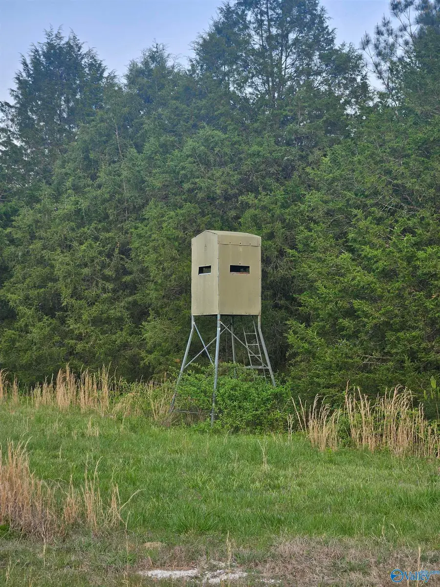 8200 Owls Hollow Road, Gadsden, AL 35901 - #2