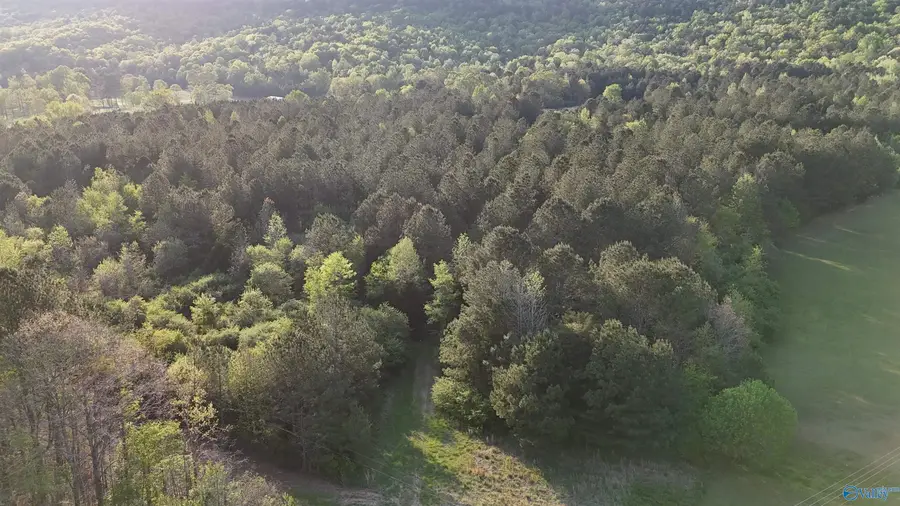 8200 Owls Hollow Road, Gadsden, AL 35901 - #3