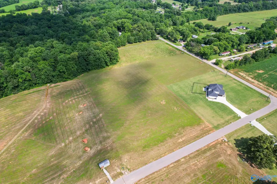 105 Sydney School Way, Hazel Green, AL 35750 - #3