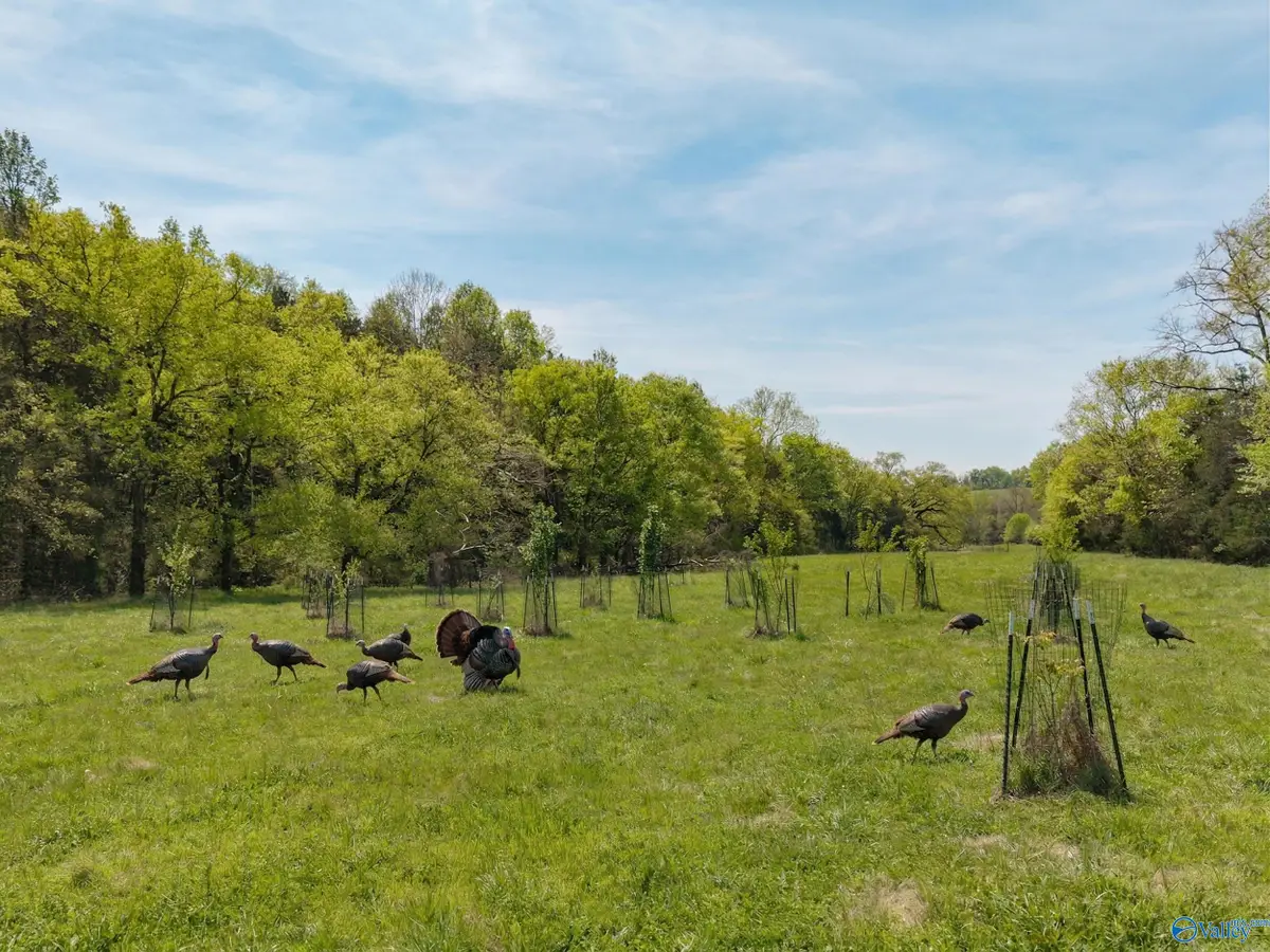 305 Ingram Road, Pulaski, TN 38478 - #1