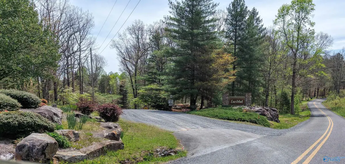 237 County Road 844, Mentone, AL 35984 - #1