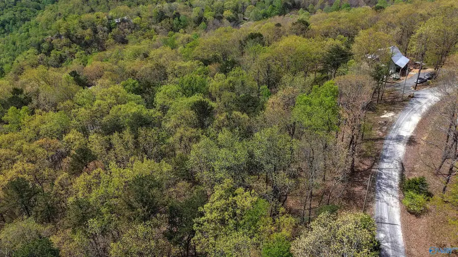 237 County Road 844, Mentone, AL 35984 - #2