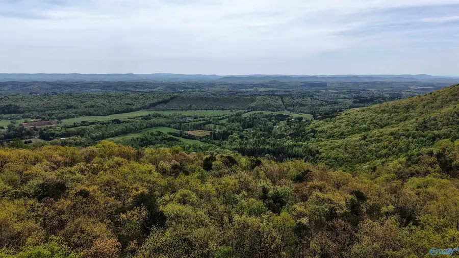 237 County Road 844, Mentone, AL 35984 - #3