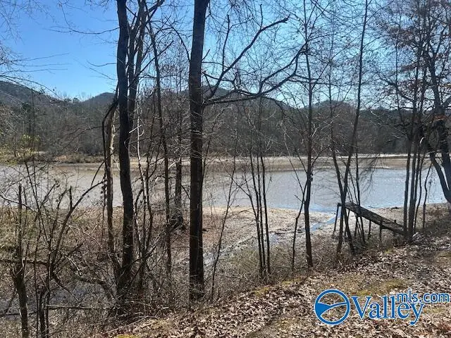 330 County Road 165, Cedar Bluff, AL 35959 - #1