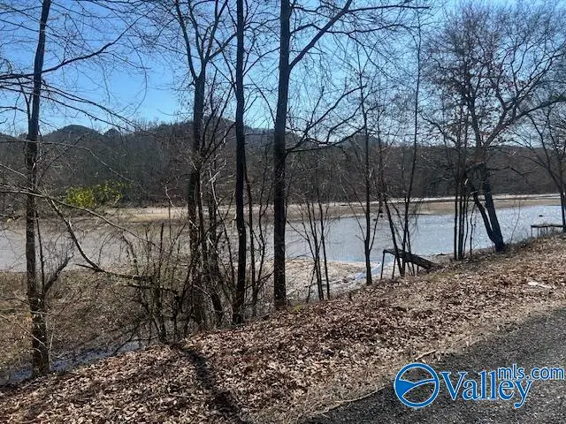 330 County Road 165, Cedar Bluff, AL 35959 - #2
