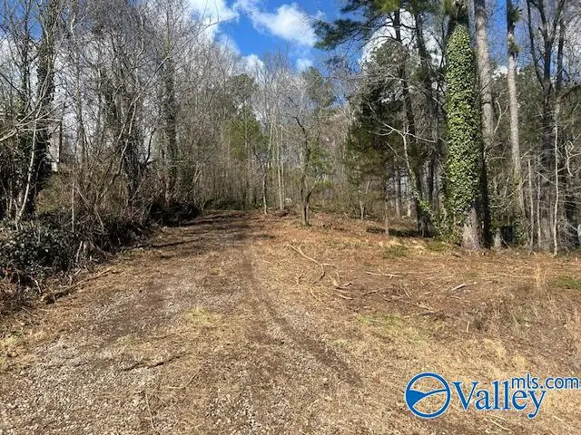 330 County Road 165, Cedar Bluff, AL 35959 - #3