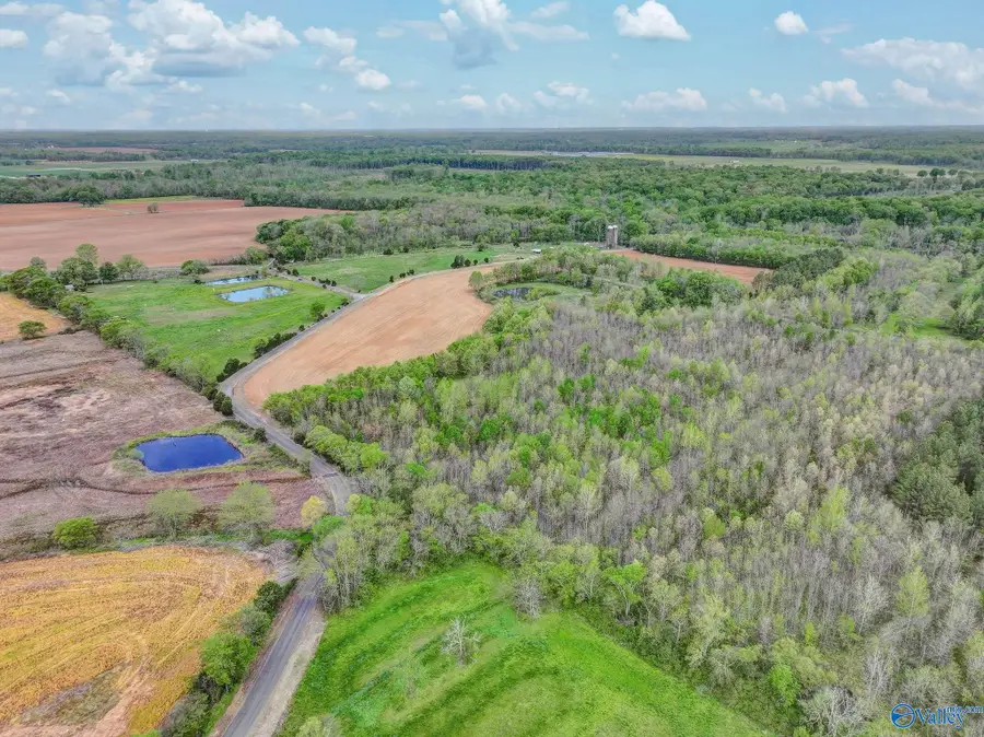 412 Targum Road, Hartselle, AL 35640 - #3