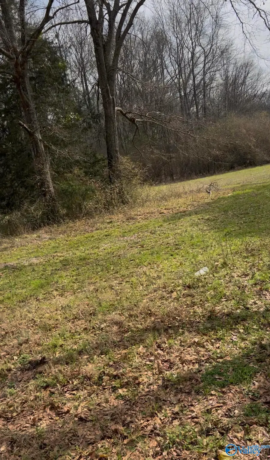 Address Withheld By Seller, Marion, AL 36756 - #3