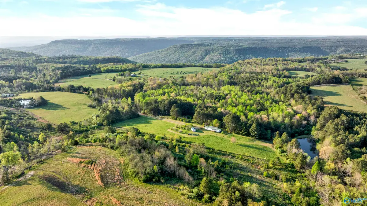1122 County Road 361, Pisgah, AL 35765 - #1