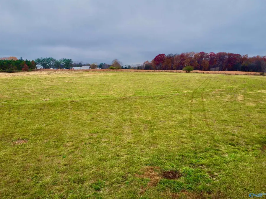 34 County Road 89 #Tr3+4, Anderson, AL 35610 - #3
