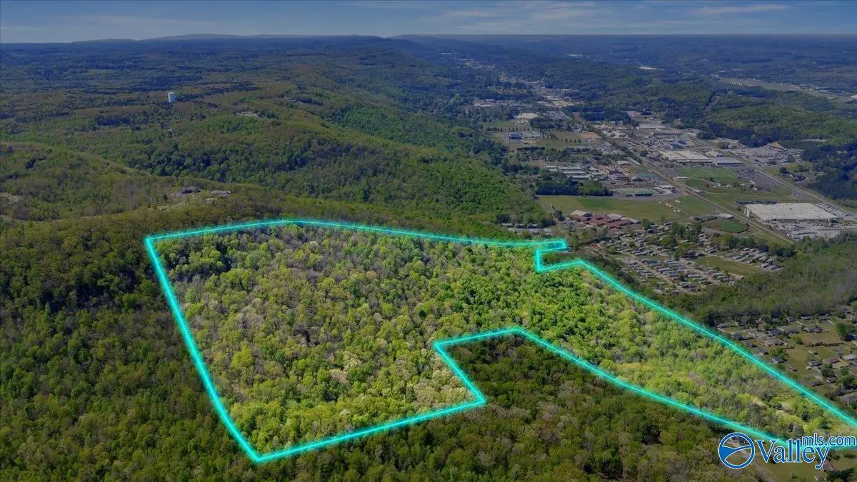 5411A Martin Avenue Ne, Fort Payne, AL 35967 - #1