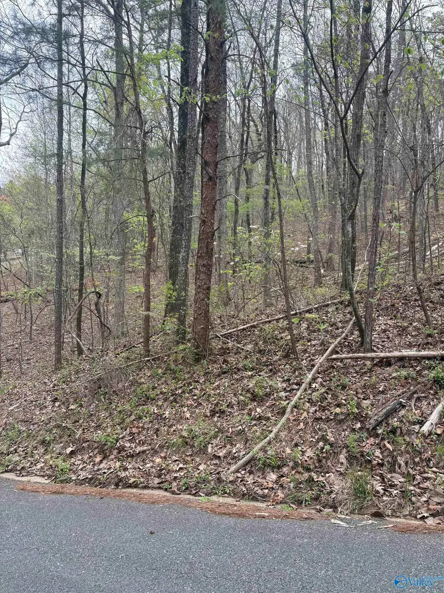 4 Greenbriar Road, Gadsden, AL 35901 - #2