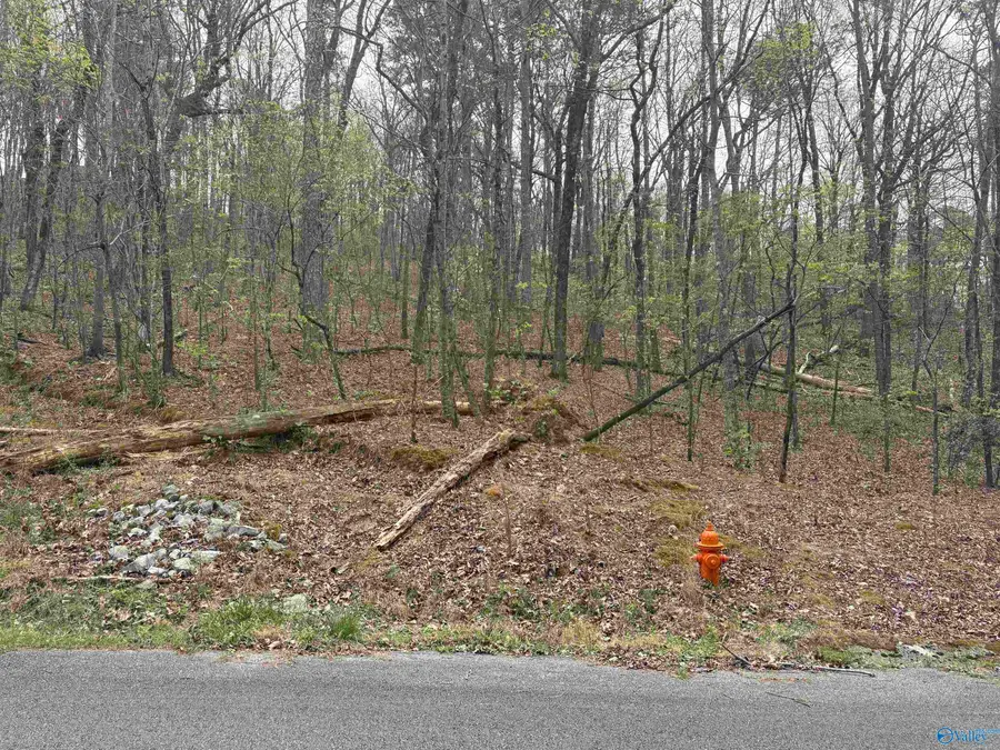 4 Greenbriar Road, Gadsden, AL 35901 - #3