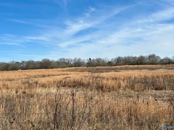 1.5 ac Lot 2 Strange Road #2, Horton, AL 35980