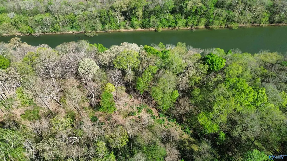 Lot 12 Christopher Road, Elkmont, AL 35620 - #1