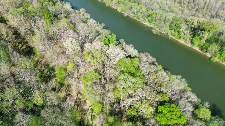 Lot 12 Christopher Road, Elkmont, AL 35620 - #2