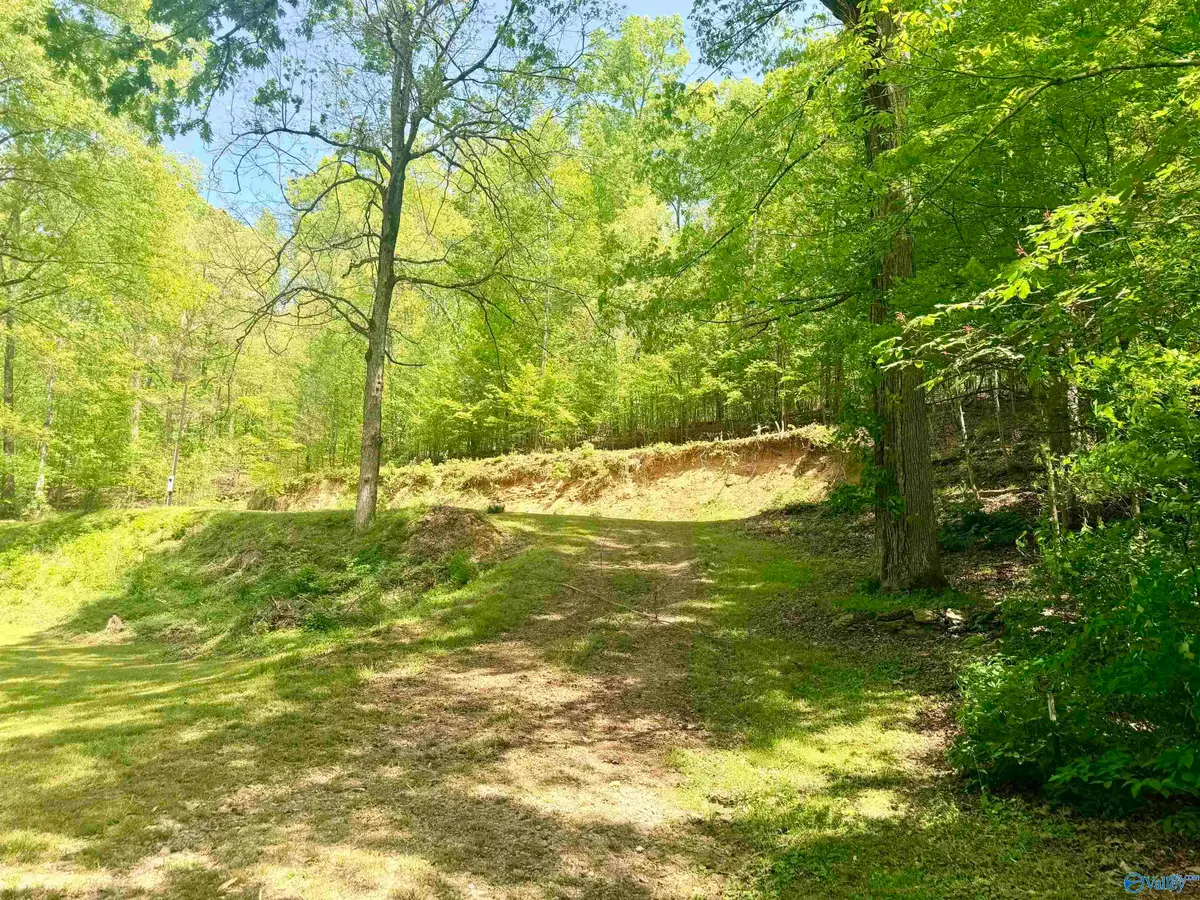 17940 Blue Springs Road, Athens, AL 35611 - #1
