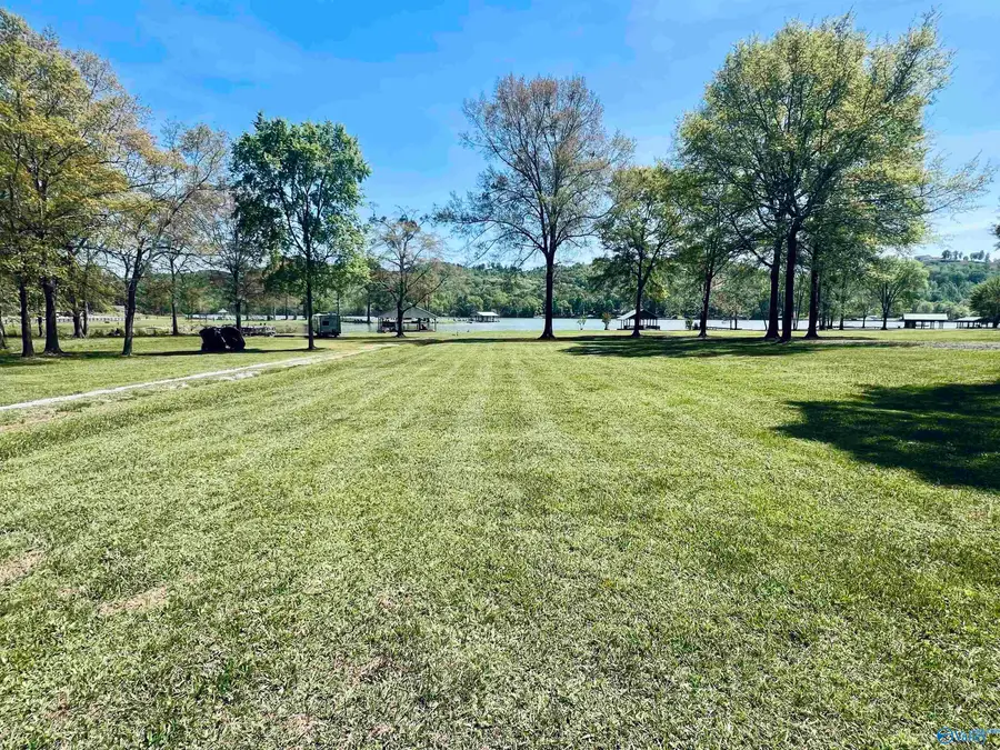 3140 County Road 137, Cedar Bluff, AL 35959 - #3
