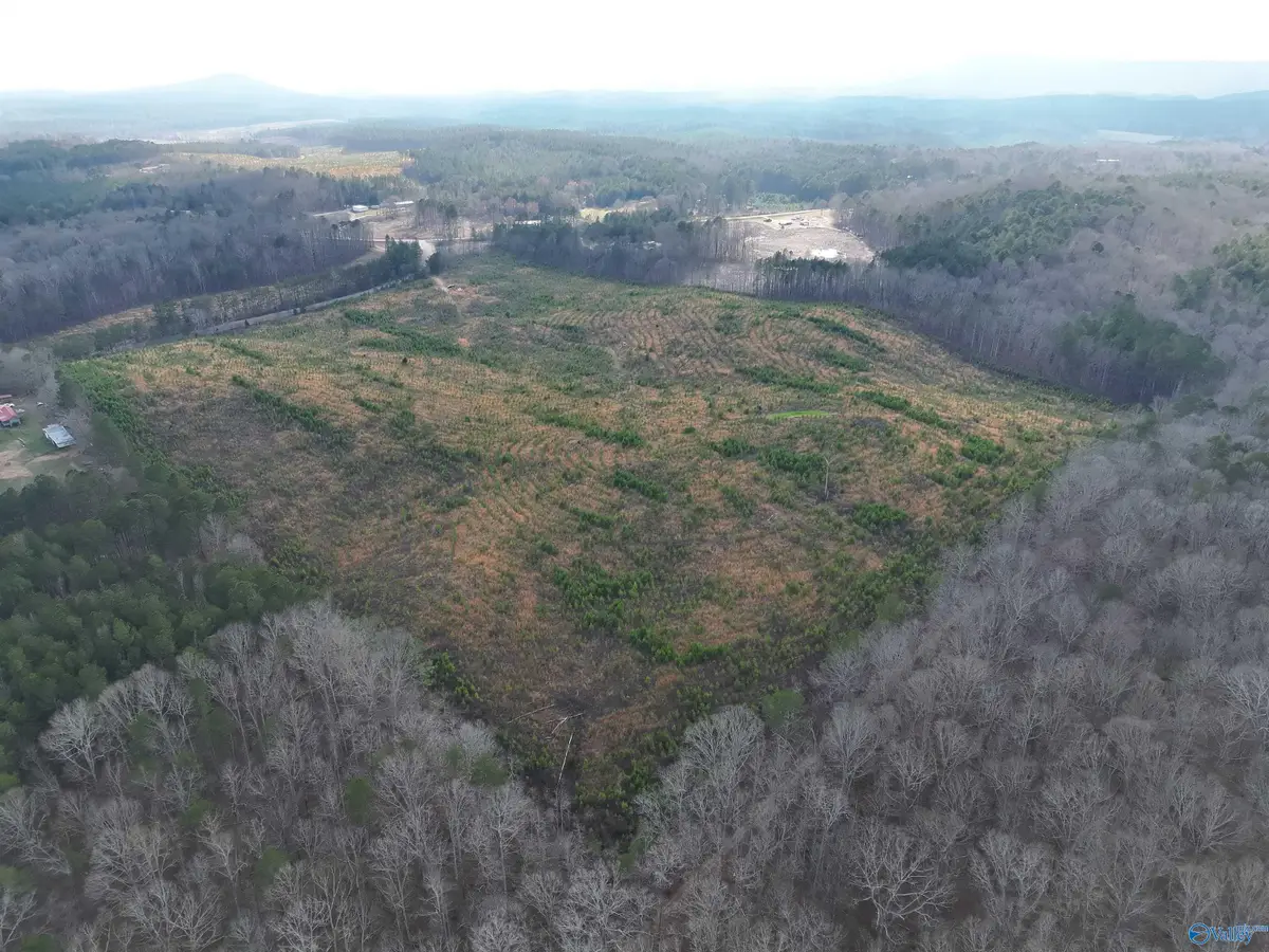 57 AC County Road 921, Gaylesville, AL 35973 - #1