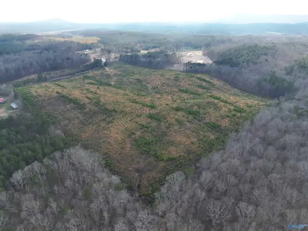 57 AC County Road 921, Gaylesville, AL 35973