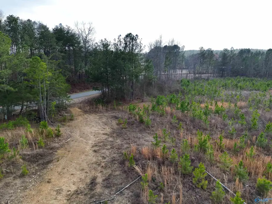 57 AC County Road 921, Gaylesville, AL 35973 - #2