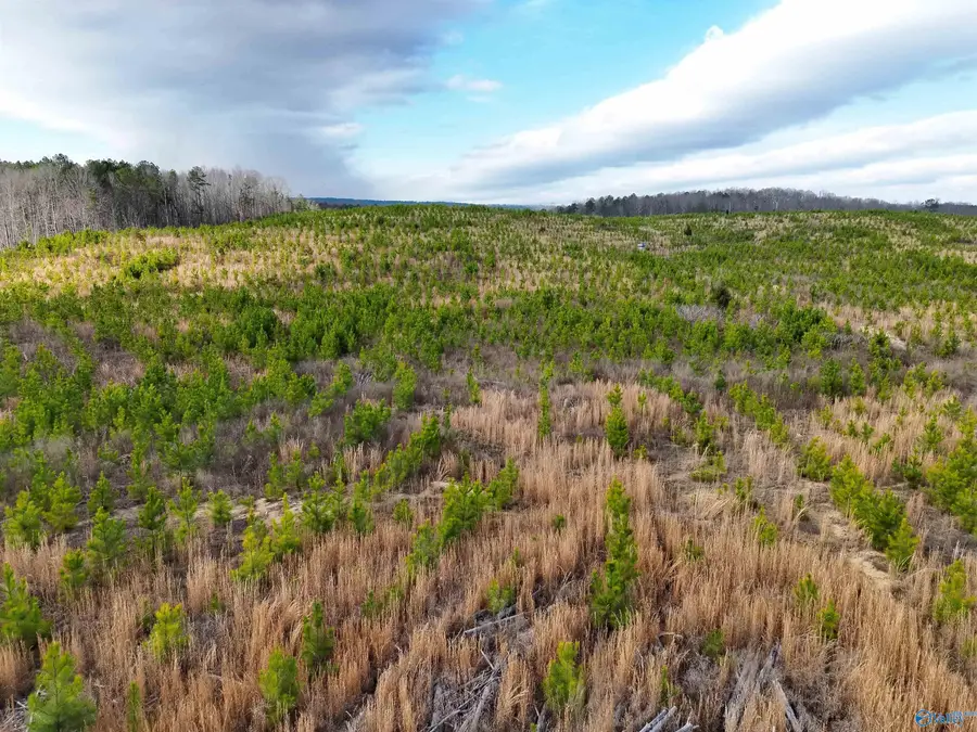 57 AC County Road 921, Gaylesville, AL 35973 - #3