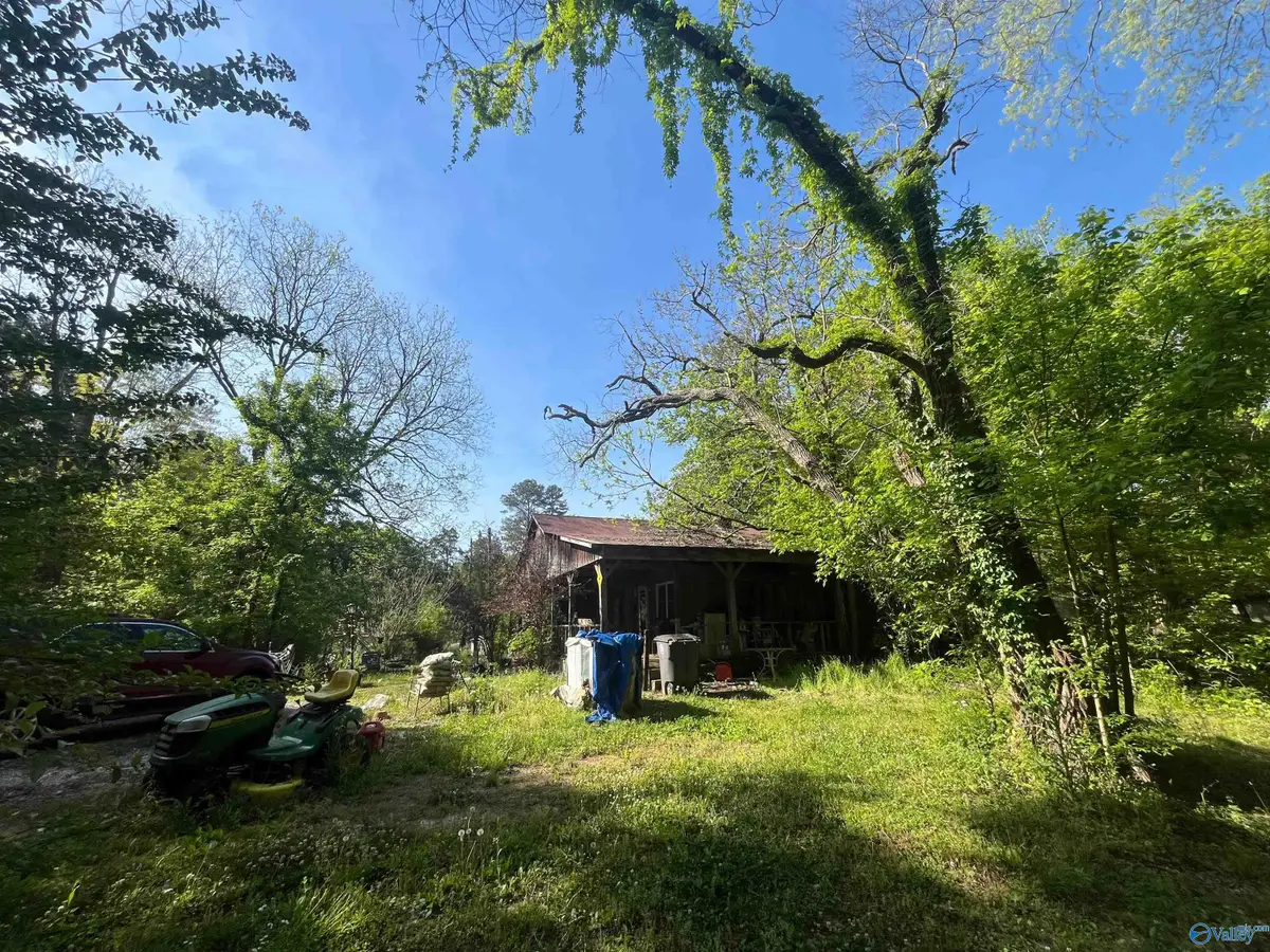 703 County Road 317, Trinity, AL 35673 - #1
