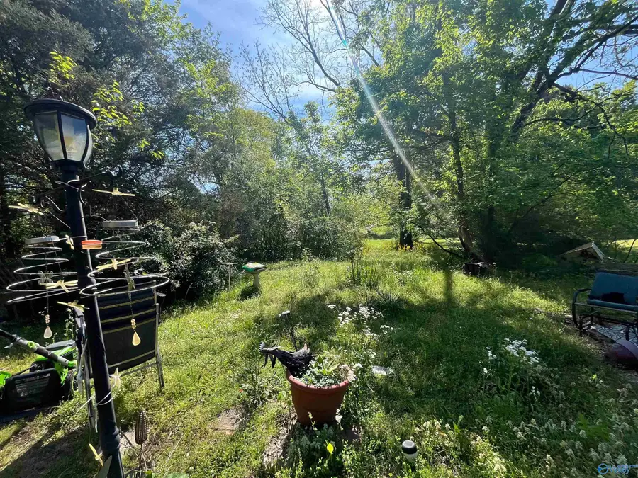 703 County Road 317, Trinity, AL 35673 - #3