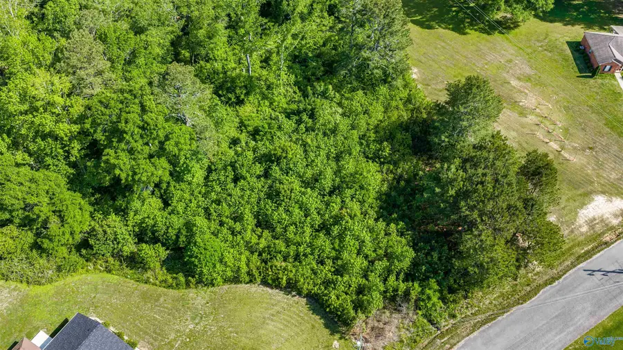 Lot 9-11 Brush Creek Drive, Boaz, AL 35957 - #2