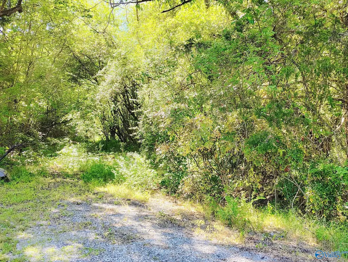 7725 Lavender Road, Adger, AL 35006 - #1
