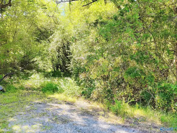 7725 Lavender Road, Adger, AL 35006