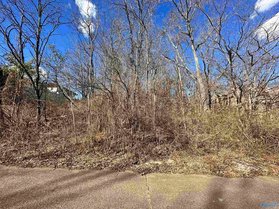2308 Woodcliff Road, Huntsville, AL 35801 - #3
